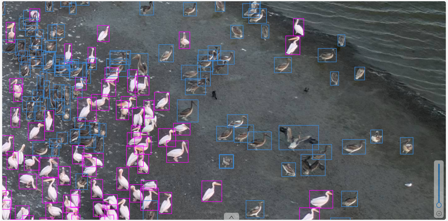 Fig.4. A more detailed example of a labeled image